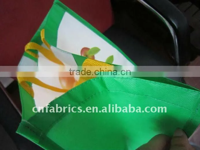 OEM non-woven bag ,Promotional Shopping Bag , eco bags