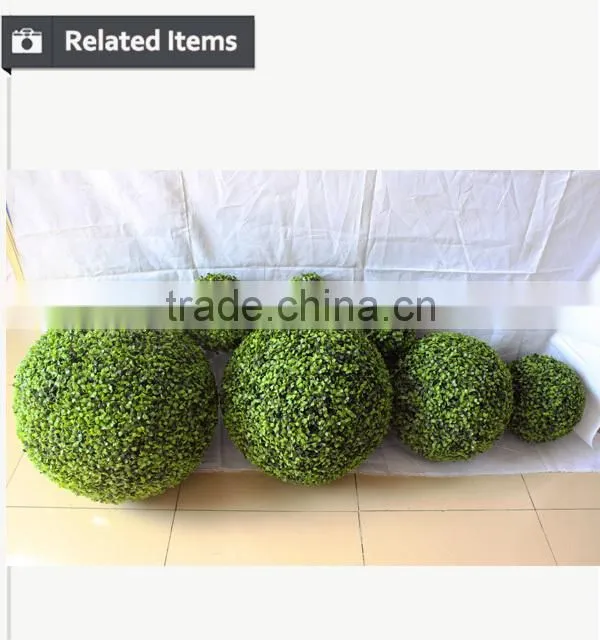 Potted boxwood tree for Christmas decoration store decoration boxwood tree