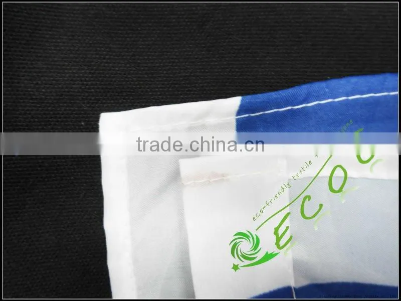 Promotional flag Banner