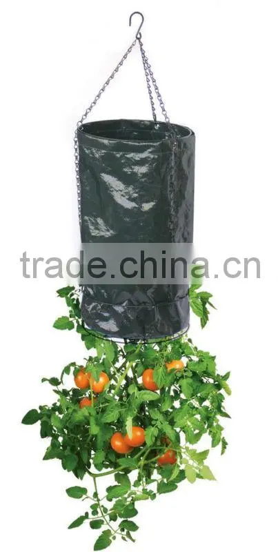 Garden Upside down tomato planter