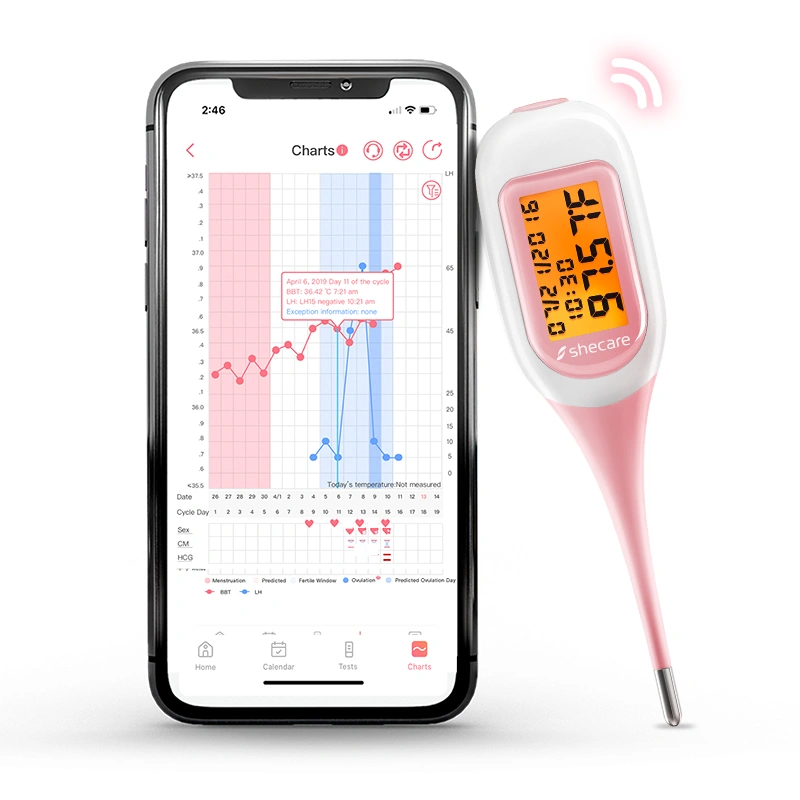 Shecare-ikangtai company overview - view 2