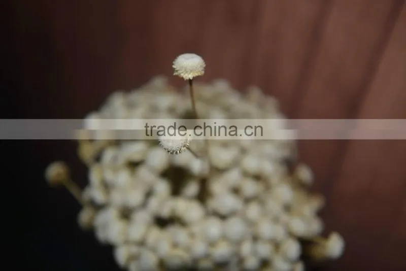 Diamond flower