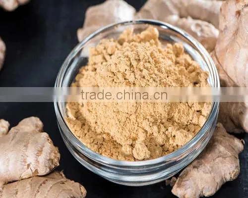 Finest Ginger Powder Bulk Producers