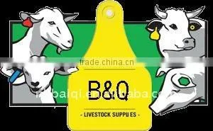 sell animal small pig ear tag ,laser ear tag