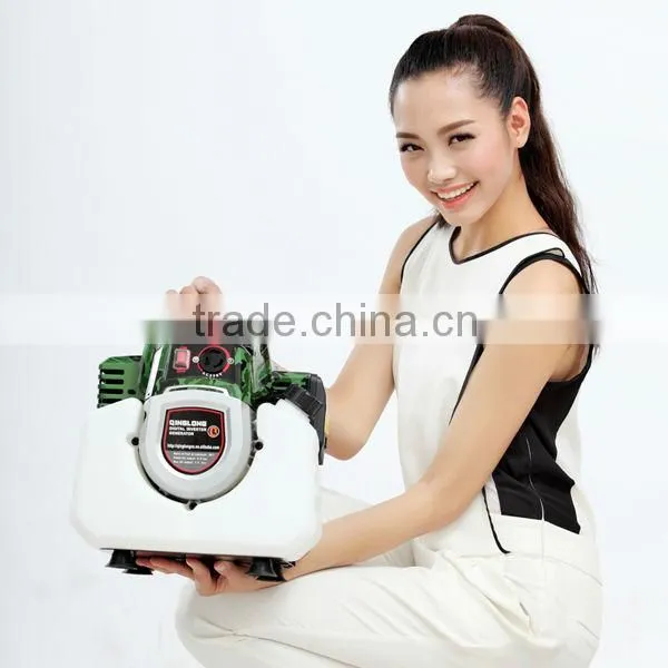 0.8KW Digital inverter portable eletric generator
