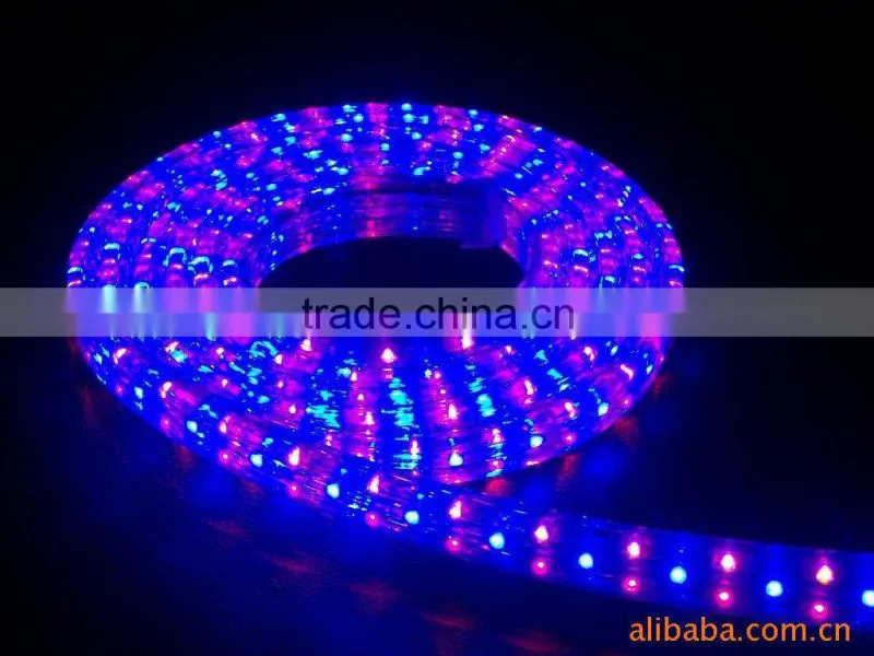 230V LED flat 4-wire led rope light