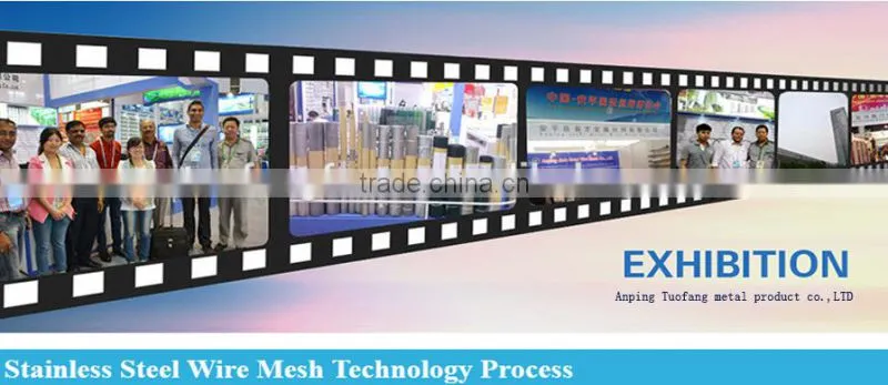 304 316 Stainless Steel Security Screen/Security Window Screen from hebei factory