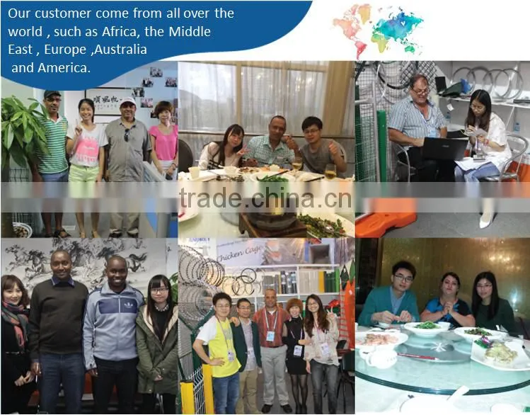 304 316 Stainless Steel Security Screen/Security Window Screen from hebei factory