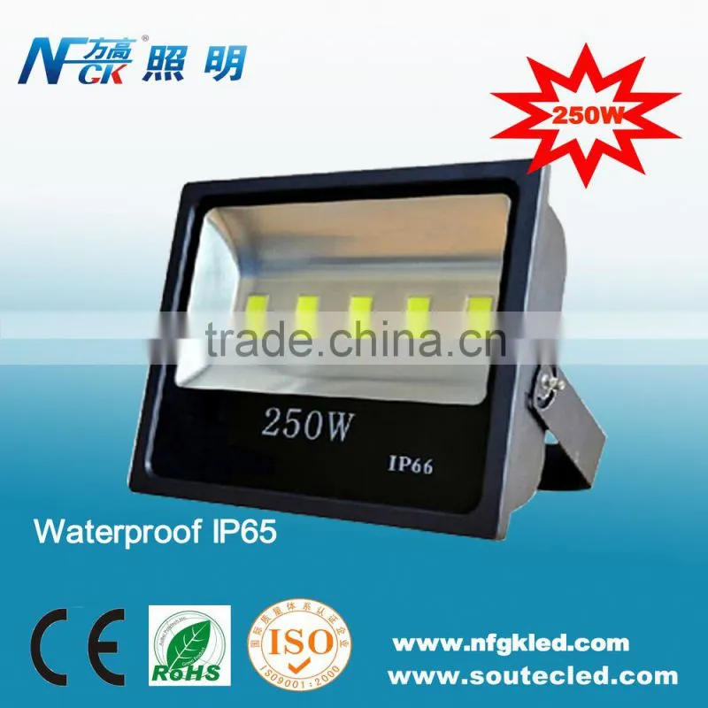 Ultra bright dimmable led flood light IP66 waterproof led flood light parts 250 watt led flood light