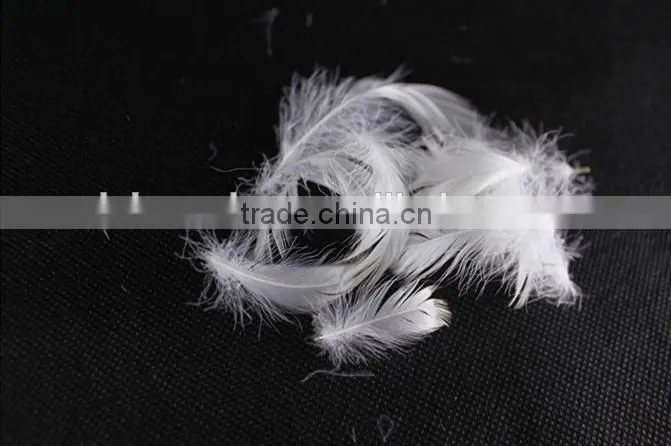 Factory Price 2-4cm Washed White Goose Feather fo Selling