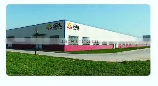 Yangzhou Leda Toys Machinery Co., Ltd. company overview - view 1