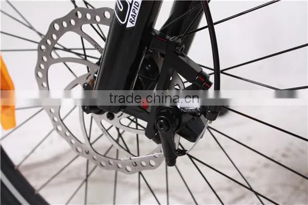 New Eagle mountain bike electric