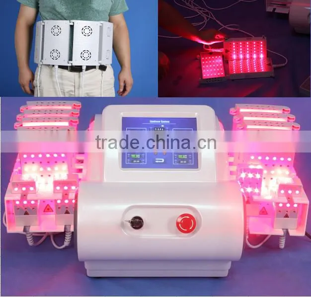 High Quality i diodes lipo laser /lipo machines for sale / Japan Mitsubishi Diode lipo laser