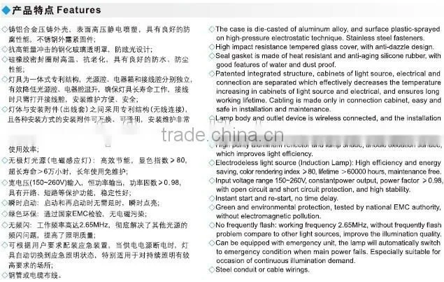 BAD83 explosion proof induction lamp