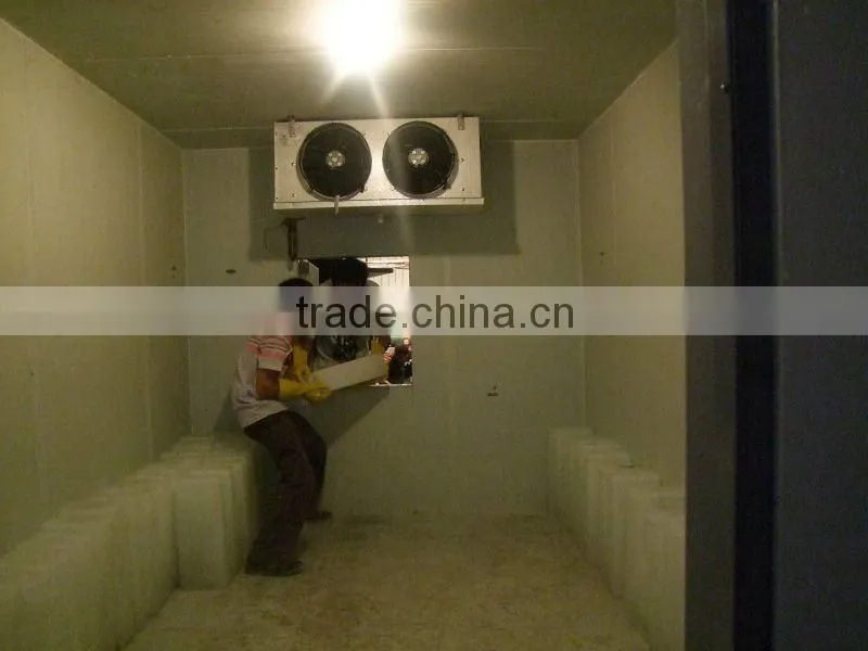 Full automatic ice block making machine for Africa