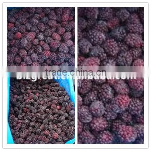IQF Blackberry with good quality for sale
