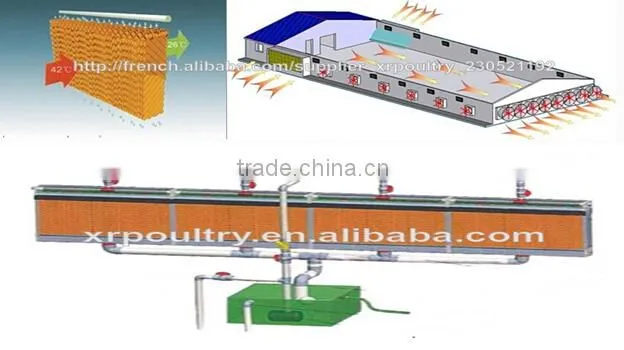 Professional high quality steel poultry shed/house for broiler