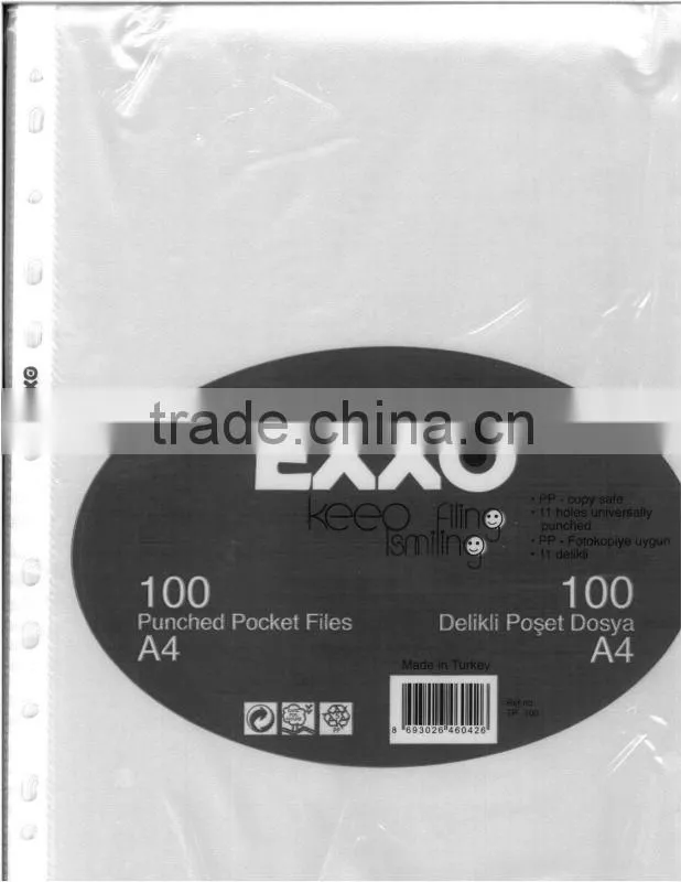 11 Holes pp Sheet Protect File making machine
