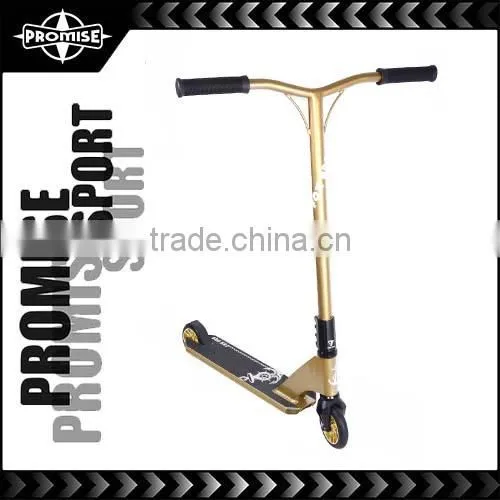 CE Approved Purple professional ski scooter