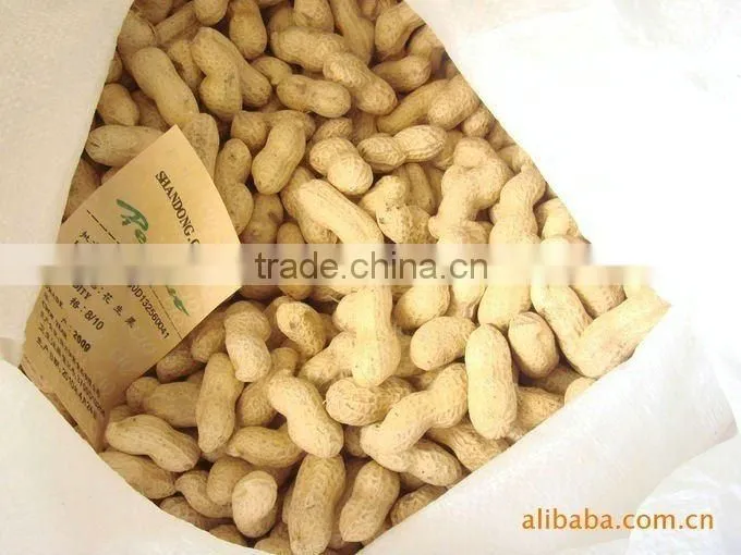 2015 crop red skin peanut kernel 50/60