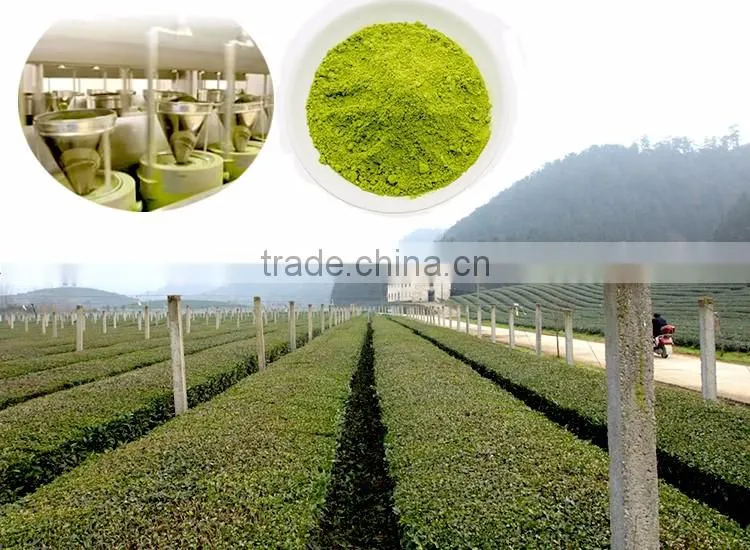 Matcha Pack bag Weight From 2 to 5 Gram