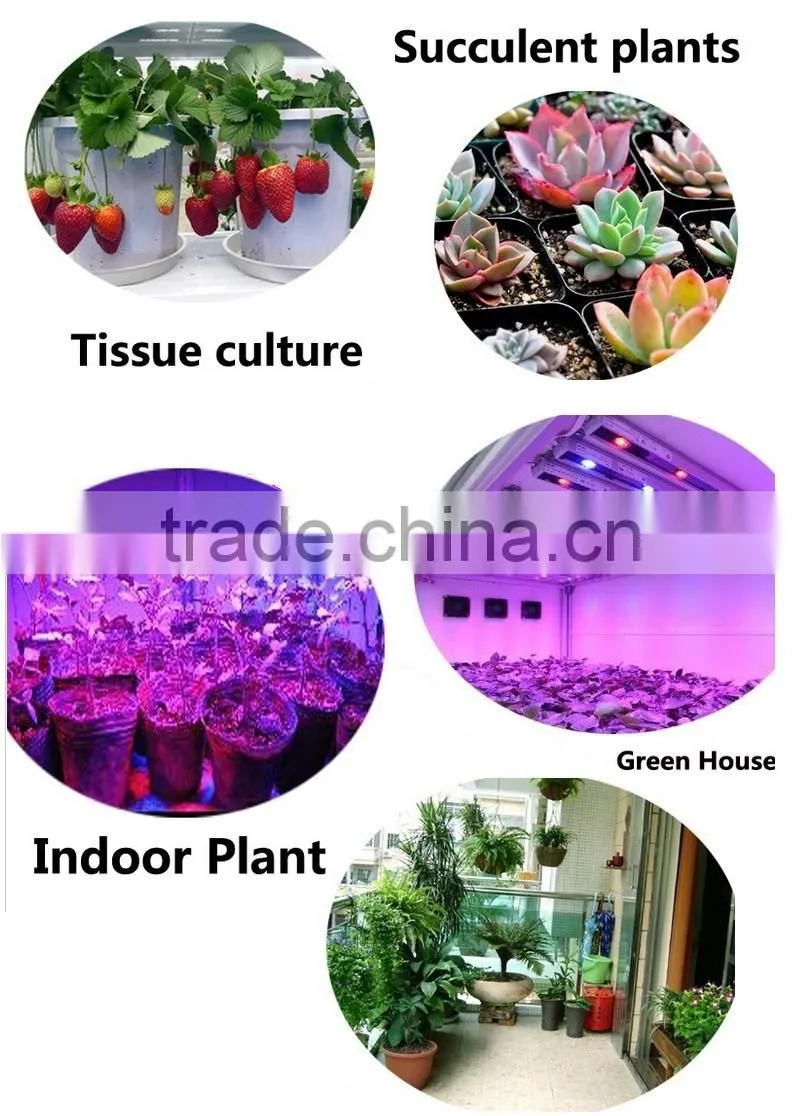 5W -10W Full Spetrum LED Grow Light Tube Greenhouse Flower Planting