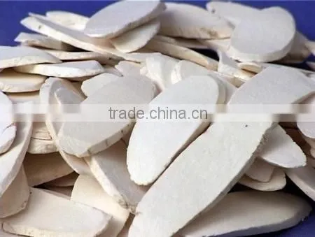 HIGH QUALITY TAPIOCA FLOUR