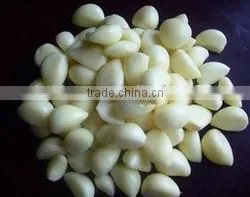 Natural Chinese Fresh white garlic wholesales