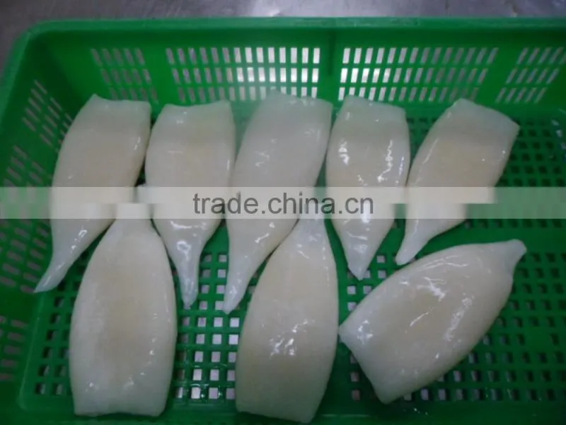 Frozen squid tube fish U5