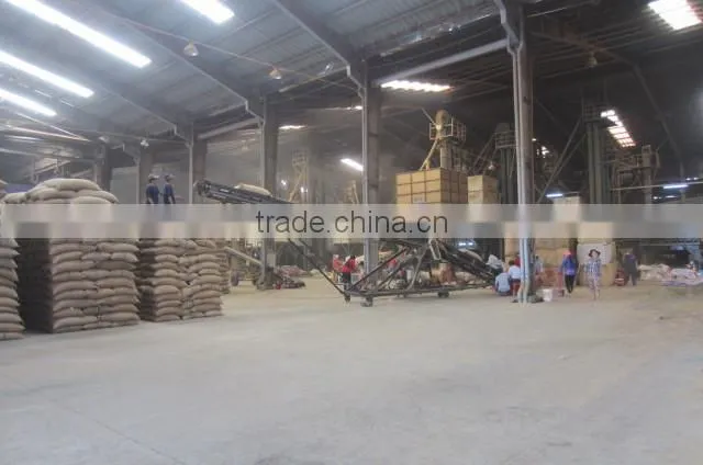 VIETNAM GREEN COFFEE BEANS