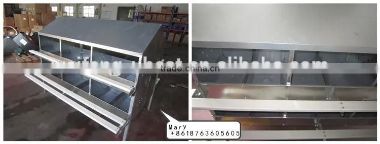 U-BEST full automatic poultry equipment for breeder chicken