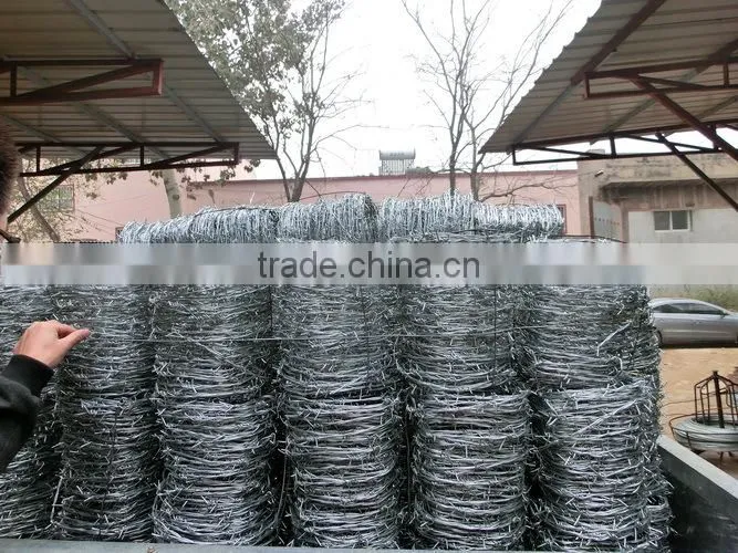 galvanized barbed wire