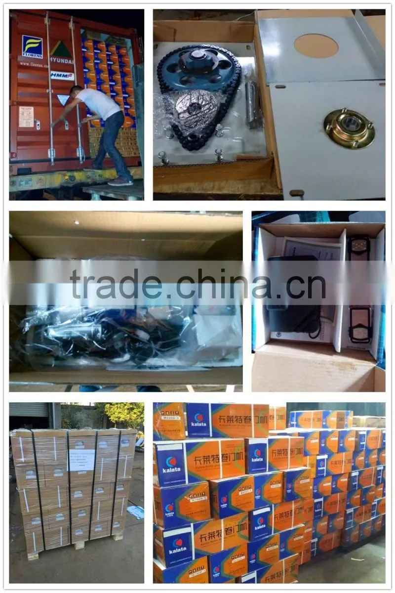 High quality M300D-X10 hot sale single phase 220V less consumption gear door motor