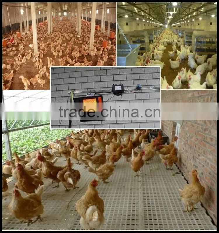 drinking nipples for animal and Poultry,Poultry Chicken Waterer Nipple Drinker,chicken drinker