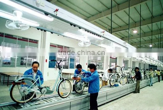 Electric bicycle assembly line manufactuer
