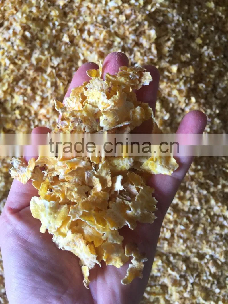 CORN FLAKE MACHINE FOR ANIMAL FEED