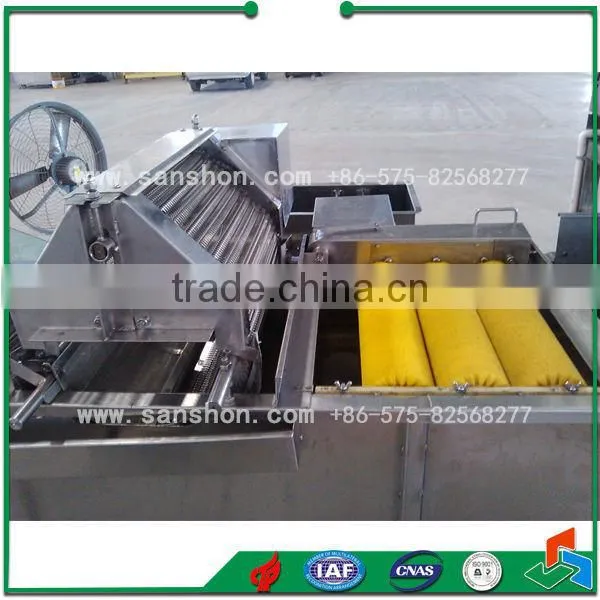 China Fruit Vegetable Washing Machine