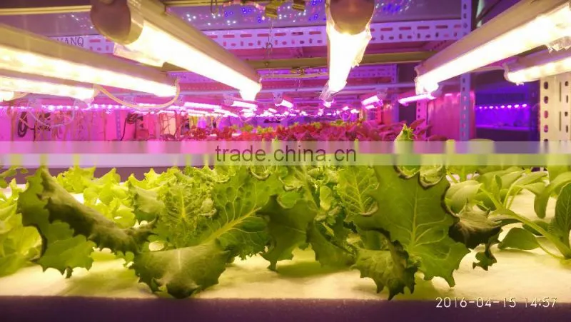 4ft 30W LED grow lights bar replacing t5 lowes fluorescent light fixtures