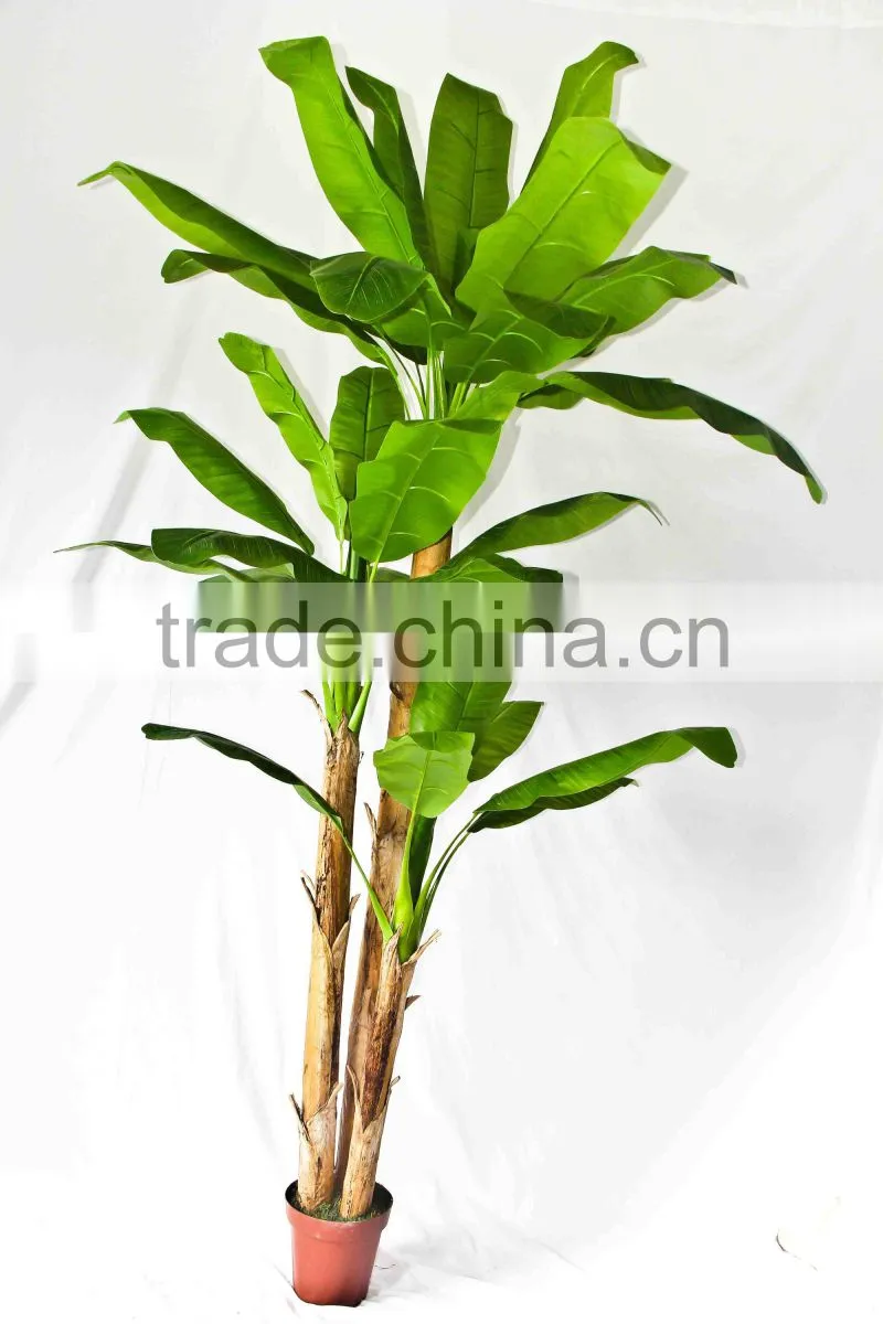 Wholesale indoor use bonsai