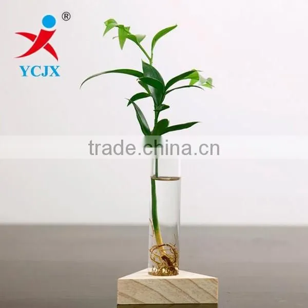 Small Glass Tube Vases for sale