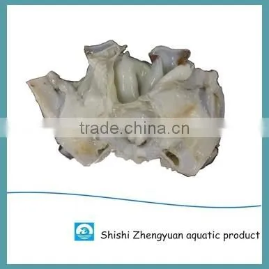Frozen Giant Peru fillet squid neck Size 500+ on sale