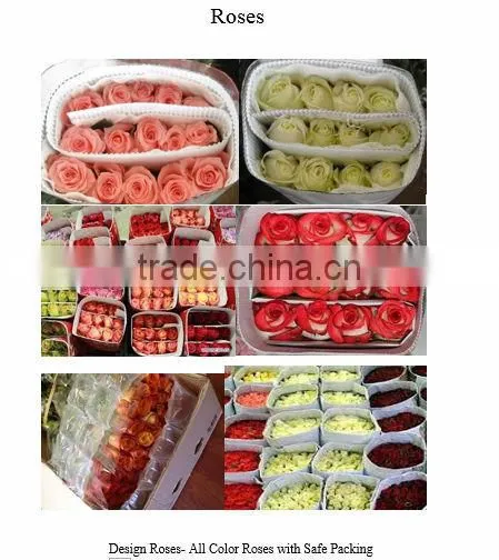cheap Fresh cut FlowersJasmine