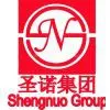 Shengnuo Group company overview - view 1