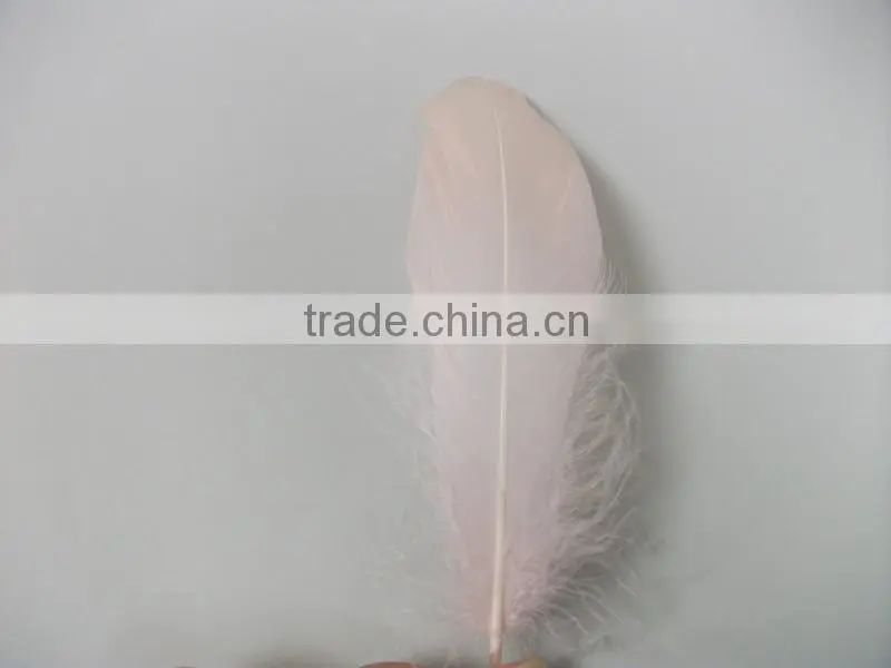 Feather For DIY Decorate Cheap