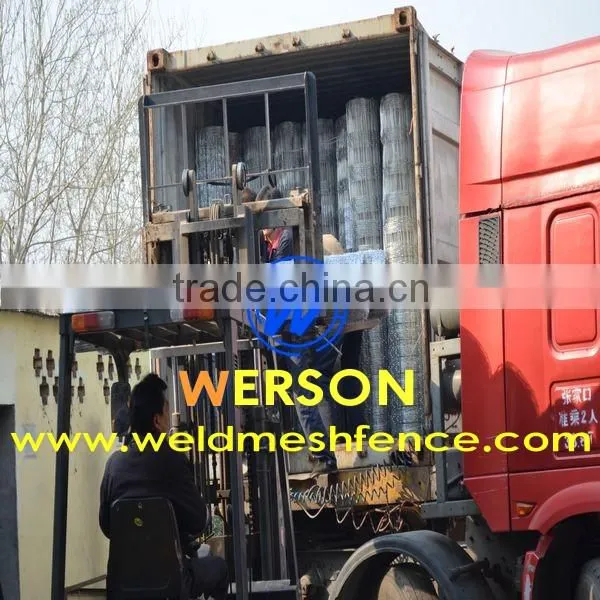hot dipped galvanized Hog Wires | werson fence
