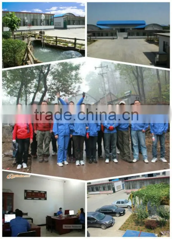Hot sale new plumbing Pipe fitting black iron elbow China supplier
