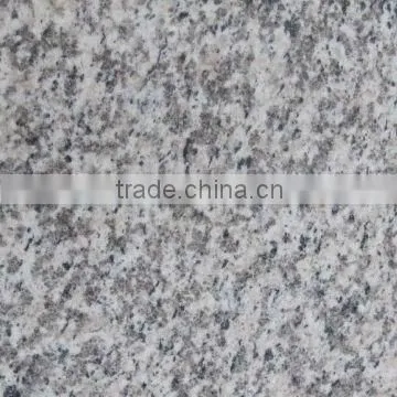 Polished Tiger White Granite