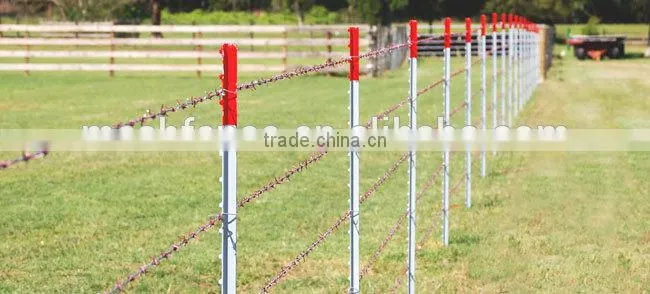 pvc coated high quality cheap 1.25lbs long life time 40mmx40mm t post for china