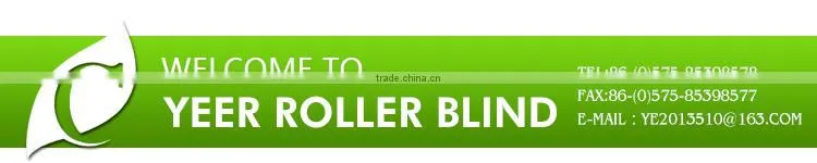 Home decoration Wonderful Water proof china blind,jacquard zebra blind