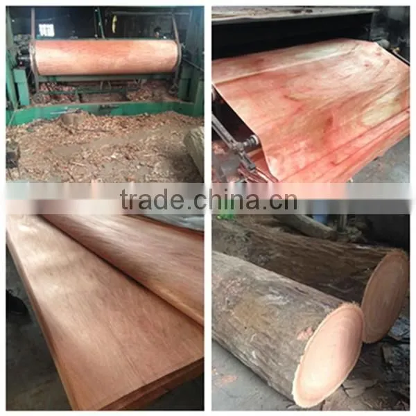 Natural wood 0.22-0.3mm doorskin water gum veneer